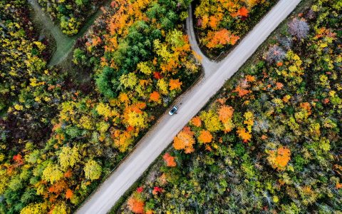 Collingwood赏枫照片